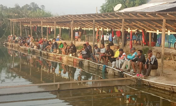 8. Pemancingan Raja Waluh Fasilitas kolam pemancingan ini memiliki ikan yang banyak, bisa dibawa pulang, tempat nyaman, dan masih banyak lagi.  Alamat: Jl Rapak Indah Nomor 63, Loa Bakung, Kec Sungai Kunjang, Kota Samarinda, Kalimantan Timur, 75243  Jam buka: Buka 24 jam setiap hari  Telepon: 0812-5361-852  9. Pemancingan Reel 3 Kolam pemancingan ini memiliki lokasi strategis, terdapat banyak jenis ikan, tempat parkir luas, suasana asri dan sering diadakan perlombaan.  Alamat: Sungai Keledang, Kec Samarinda Seberang, Kota Samarinda, Kalimantan Timur 75242  Jam buka: 07.30 - 00.00 (Senin), 07.30 - 01.00 (Selasa, Rabu, Sabtu, Minggu), 06.30 - 00.00 (Kamis), 00.45 - 01.00 (Jumat)  Telepon: 0813-5148-6428  10. Kolam Pemancingan Sangga Buana 10 Kolam Pemancingan di Samarinda Paling Laris    Kolam pemancingan ini sangat ramai dikunjungi oleh para pemancingan dari Samarinda dan sekitarnya. Selain itu, seringkali ada perlombaan memancing yang bisa diikuti oleh siapa saja.  Alamat: Jl Tanggul Depan SMK 15, Jl Ringroad, Lok Bahu, Kec Sungai Kunjang, kota Samarinda, Kalimantan Timur, 75243  Telepon: 0821-4993-8576  Itulah 10 kolam pemancingan di Samarinda paling laris yang bisa Anda kunjungi. Semoga informasi ini bisa membuat Anda menemukan lokasi pemancingan yang cocok dengan diri Anda, ya.