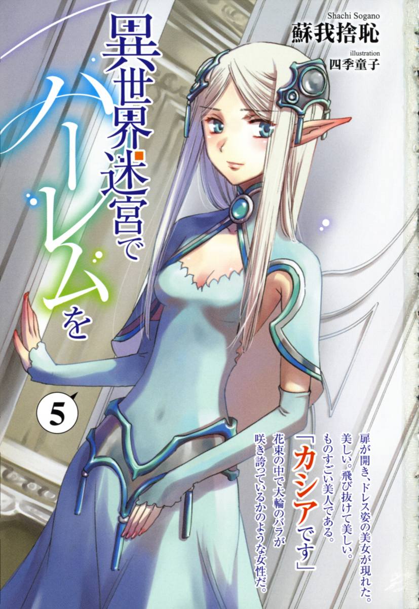 [Ruidrive] - Ilustrasi Light Novel Isekai Meikyuu De Dorei Harem - Volume 05 - 04