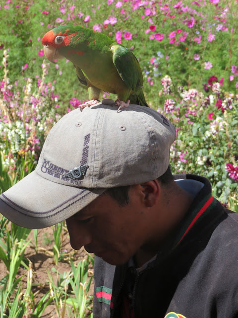 Besuch aus Cochabamba