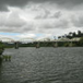 View album