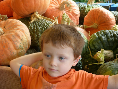 What can you do with a pumpkin? From decoration to dessert, and even decomposition