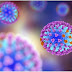 Types of Influenza Virus 
