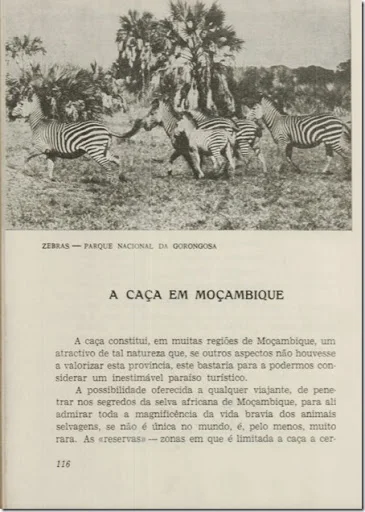 livro_4_classe_6