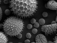 Microscopic image of aerosols