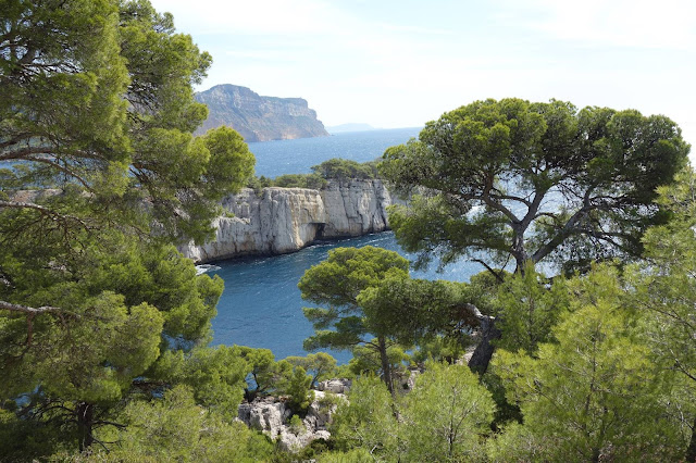 port-pin-calanques-cassis