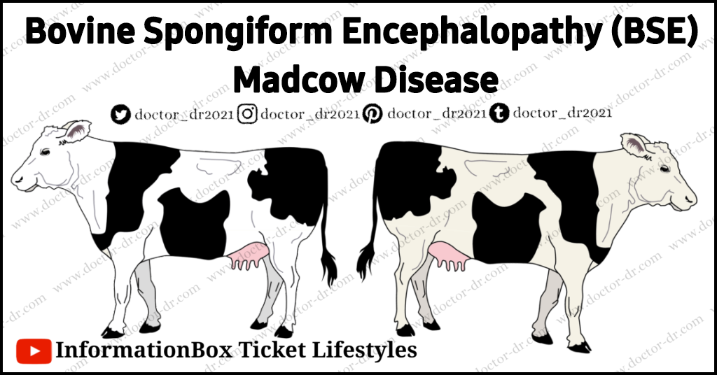 Bovine Spongiform Encephalopathy (BSE) - Mad Cow Disease