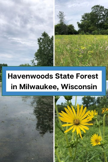 Hum of Frogs and a Prairie Bouquet at Havenwoods State Forest in Milwaukee, Wisconsin