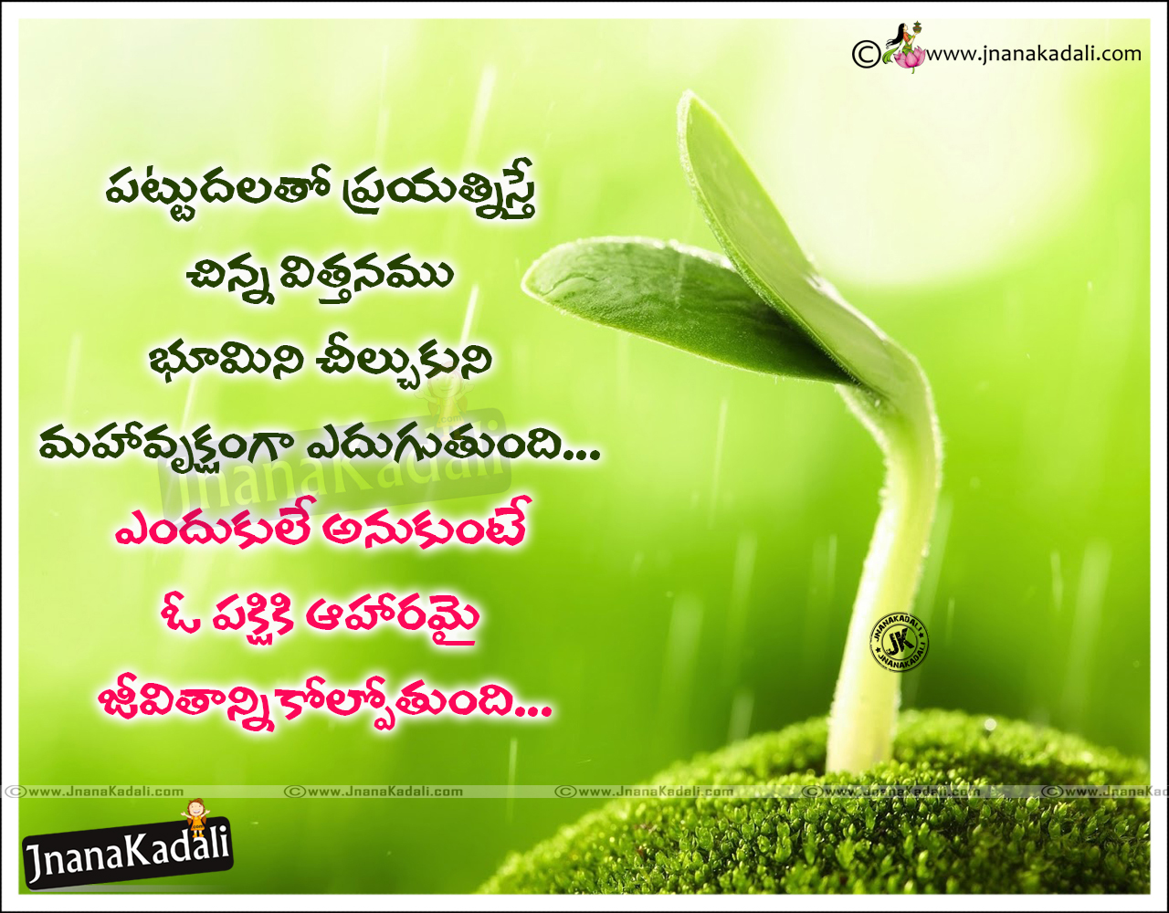 telugu success quotes Telugu quotes on life best life thoughts in Telugu Telugu