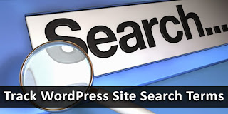 How To Track Site Search Terms in WordPress?
