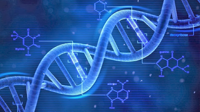 Resultado de imagem para CELULAS E DNA