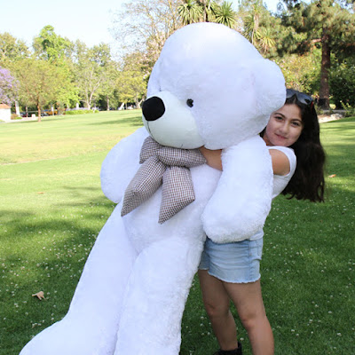 Giant Teddy... one of life's most huggable experiences!