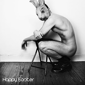 the naked rabbit project