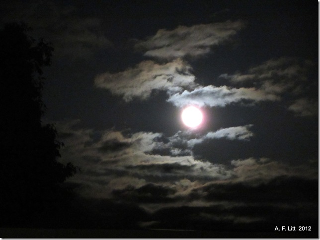 "Supermoon." Gresham, Oregon.  May 5, 2012.