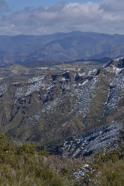 many different textures of ridges