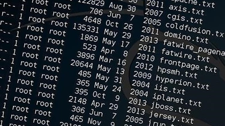 Ethical Hacking:Beginner Guide To Web Application Pentesting Udemy Coupon