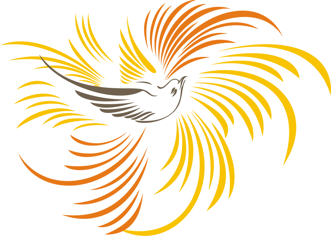 Gambar Burung Cendrawasih format Vector  Kumpulan Logo Indonesia