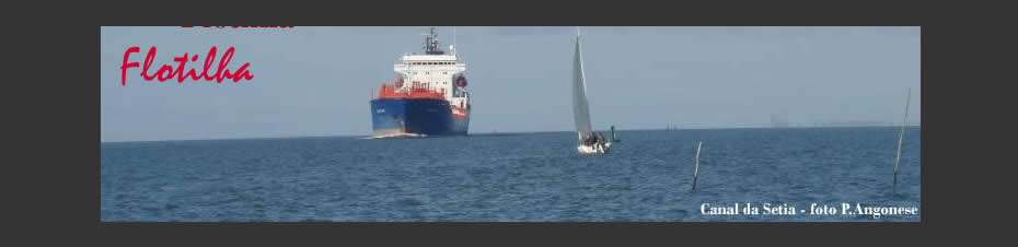 Crônicas do Flotilha
