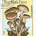 1985 - Burkina Faso - Armillaria mellea