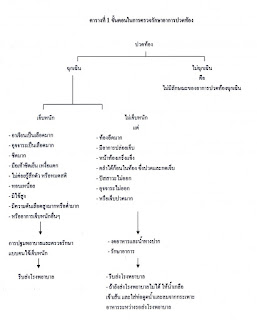   hernia คือ, โรคไส้เลื่อนในผู้หญิง, ไส้เลื่อน อาการ วิธี-รักษา, ไส้เลื่อนลงอัณฑะ อาการ, สมุนไพรรักษาโรคไส้เลื่อน, วิธี รักษา โรค ไส้เลื่อน, ไส้เลื่อน ภาษาอังกฤษ, โรคไส้เลื่อน ภาษาอังกฤษ, ไส้เลื่อนสะดือ ผู้ใหญ่