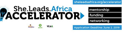 She Leads Africa (SLA) Accelerator Program  for Early Stage Female Entrepreneurs  2019 (2 million Naira cash prize)