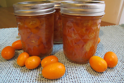 Vanilla Ginger Candied Kumquats