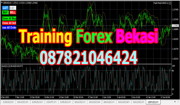 Training Forex Bekasi