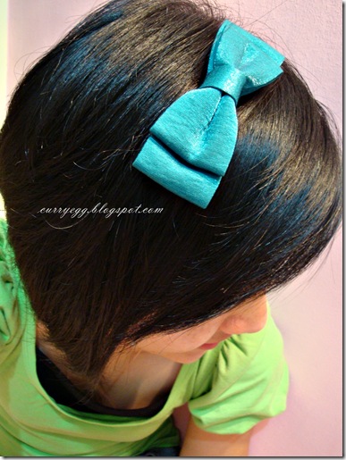 hairclip1
