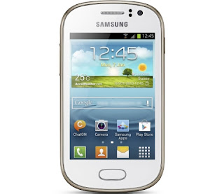 Galaxy Fame S6810P