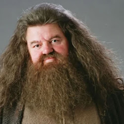 Morre José Santa Cruz, dublador de Rúbeo Hagrid, aos 95 anos