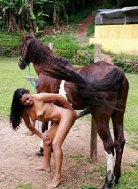 Asian Girls Horse Fucking Xxx Photo