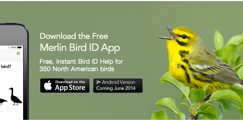 Laura's Birding Blog: Bird Identification Apps