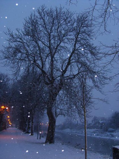 snow falling on the riverside walk, Boston