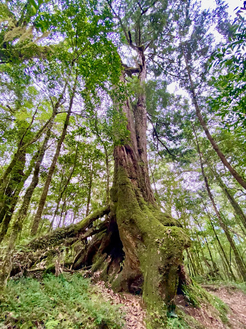 巴福越嶺古道