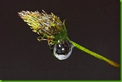 clip_image021