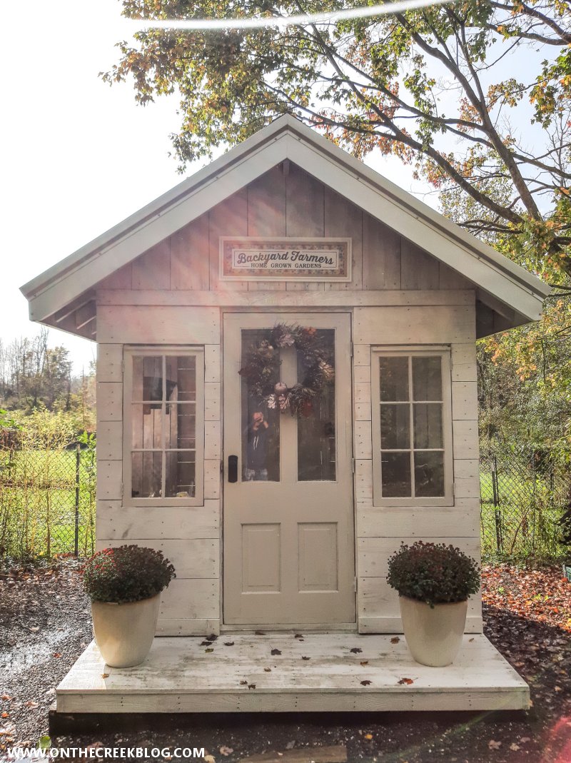 Greenhouse decorated for autumn | On The Creek Blog // www.onthecreekblog.com