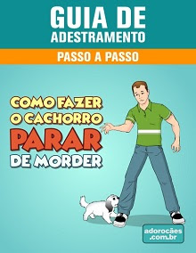 Guia de Adestramento de cães - Passo a Passo