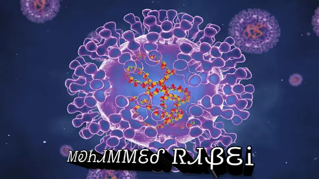 فيروسات الجدري (الموضحة هنا في هذا الرسم التوضيحي) مثل جدري القرود هي بيضاوية الشكل مع DNA مزدوج الشريطة.