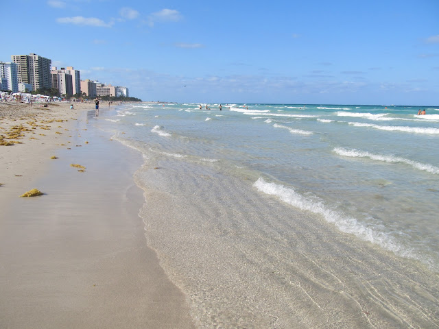 Miami Beach,miami scenery,beach scenery
