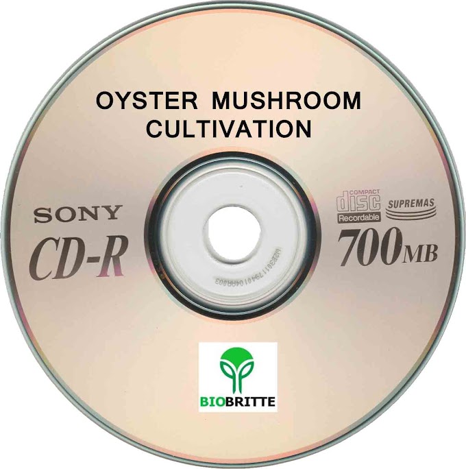 Oyster Mushroom Cultivation- Practical CD-Marathi version