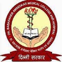 Dr BSAH 2023 Jobs Recruitment Notification of Sr Resident - 117 Posts