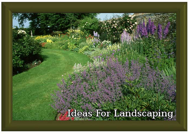 Ideas For Landscaping