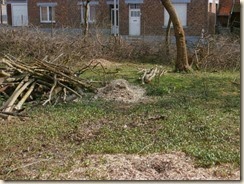 P3250081