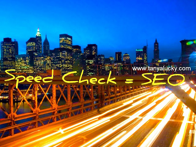 Speed Check Website