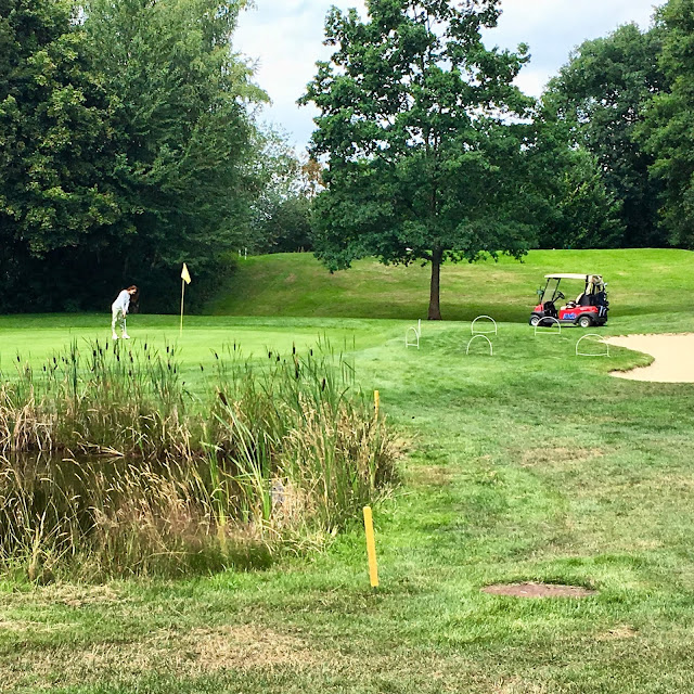 Golfer_beim_einlochen_auf_dem_Golfplatz_mit_golfcar