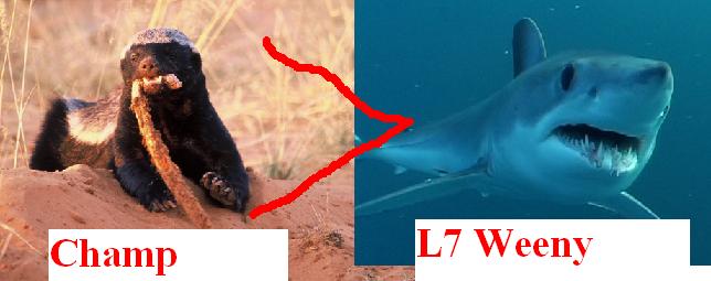 funny honey badger pictures. to honey badgers?quot;