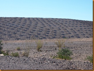 P1087134