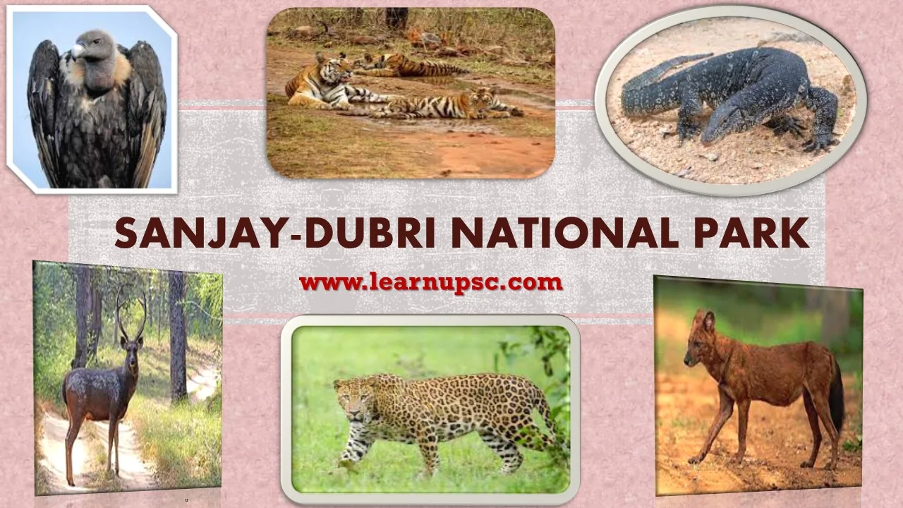 Sanjay-Dubri National Park