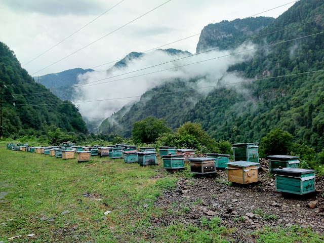 Bee box