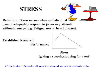 Stress and conflict in organizational structure