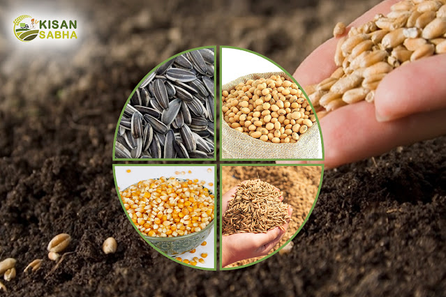 agriculture seeds exporters